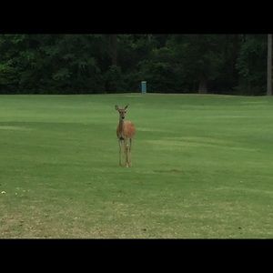 Meet your Posher, Lynn